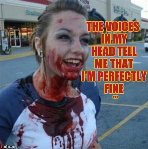 Psycho Nympho | THE VOICES IN MY HEAD TELL ME THAT I'M PERFECTLY FINE; ,,, | image tagged in psycho nympho | made w/ Imgflip meme maker