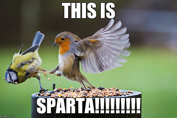 this is sparta Memes - Imgflip
