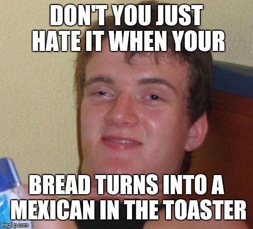 I Don't Like Toasters | DON'T YOU JUST HATE IT WHEN YOUR; BREAD TURNS INTO A MEXICAN IN THE TOASTER | image tagged in memes,10 guy | made w/ Imgflip meme maker