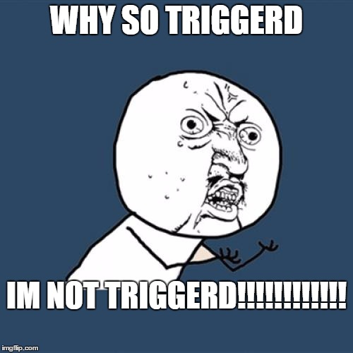 Y U No | WHY SO TRIGGERD; IM NOT TRIGGERD!!!!!!!!!!!! | image tagged in memes,y u no | made w/ Imgflip meme maker