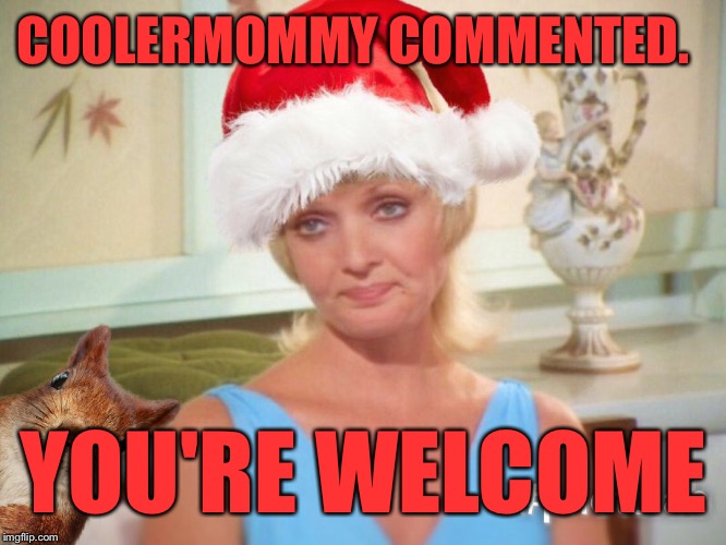 COOLERMOMMY COMMENTED. YOU'RE WELCOME | made w/ Imgflip meme maker