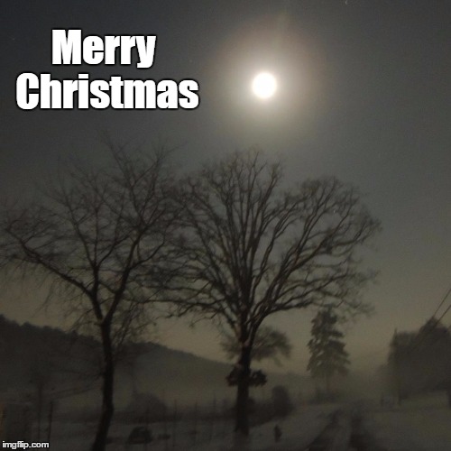 Merry Christmas | image tagged in merry christmas | made w/ Imgflip meme maker