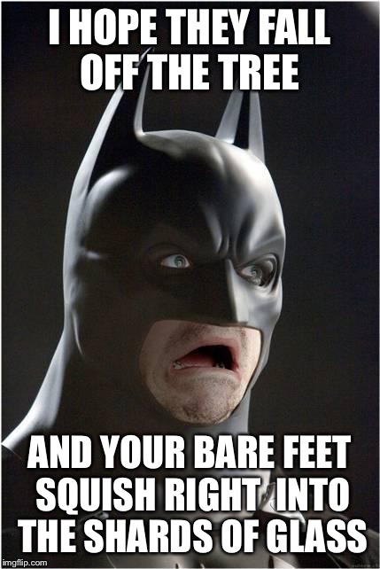 I HOPE THEY FALL OFF THE TREE AND YOUR BARE FEET SQUISH RIGHT  INTO THE SHARDS OF GLASS | made w/ Imgflip meme maker
