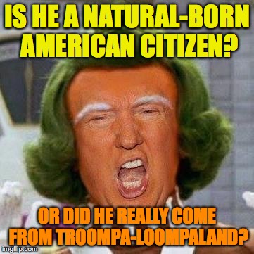 Trumpa Lumpa | IS HE A NATURAL-BORN AMERICAN CITIZEN? OR DID HE REALLY COME FROM TROOMPA-LOOMPALAND? | image tagged in trumpa lumpa | made w/ Imgflip meme maker