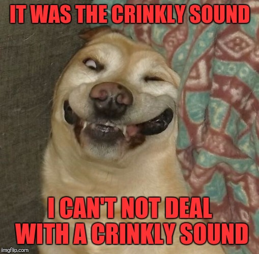 IT WAS THE CRINKLY SOUND I CAN'T NOT DEAL WITH A CRINKLY SOUND | made w/ Imgflip meme maker