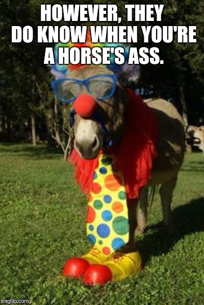 Ass clown | HOWEVER, THEY DO KNOW WHEN YOU'RE A HORSE'S ASS. | image tagged in ass clown | made w/ Imgflip meme maker