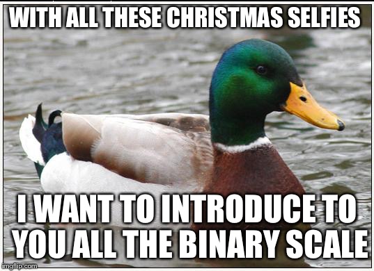 Actual Advice Mallard | WITH ALL THESE CHRISTMAS SELFIES; I WANT TO INTRODUCE TO YOU ALL THE BINARY SCALE | image tagged in memes,actual advice mallard | made w/ Imgflip meme maker