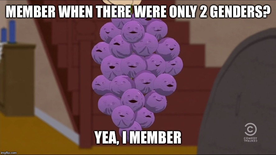 Member Berries | MEMBER WHEN THERE WERE ONLY 2 GENDERS? YEA, I MEMBER | image tagged in memes,member berries | made w/ Imgflip meme maker