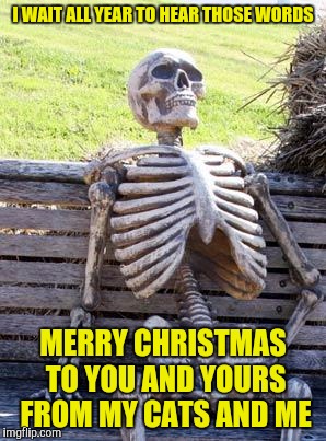 Waiting Skeleton Meme | I WAIT ALL YEAR TO HEAR THOSE WORDS MERRY CHRISTMAS TO YOU AND YOURS FROM MY CATS AND ME | image tagged in memes,waiting skeleton | made w/ Imgflip meme maker