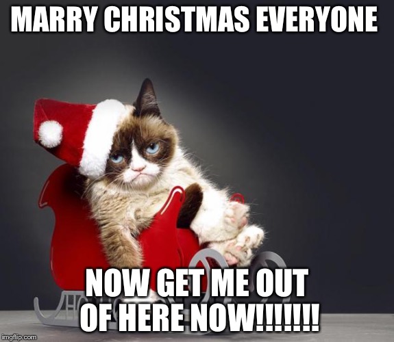 Grumpy Cat Christmas HD | MARRY CHRISTMAS EVERYONE; NOW GET ME OUT OF HERE NOW!!!!!!! | image tagged in grumpy cat christmas hd | made w/ Imgflip meme maker
