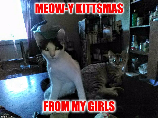 MEOW-Y KITTSMAS FROM MY GIRLS | made w/ Imgflip meme maker