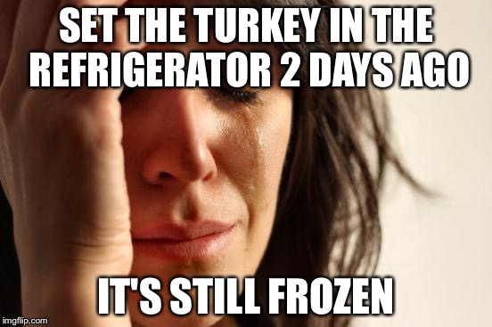 First World Problems Meme | SET THE TURKEY IN THE REFRIGERATOR 2 DAYS AGO; IT'S STILL FROZEN | image tagged in memes,first world problems | made w/ Imgflip meme maker