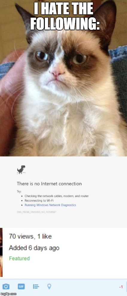 I HATE THE FOLLOWING: | image tagged in memes,grumpy cat | made w/ Imgflip meme maker