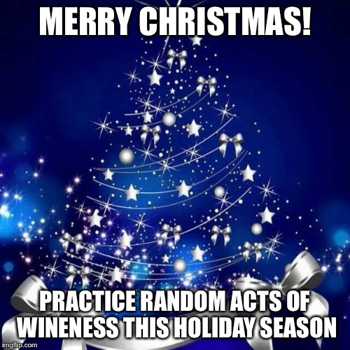 Merry Christmas  | MERRY CHRISTMAS! PRACTICE RANDOM ACTS OF WINENESS THIS HOLIDAY SEASON | image tagged in merry christmas | made w/ Imgflip meme maker