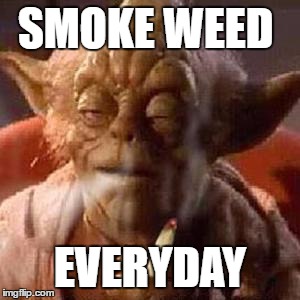 Smoke weed Yoda | SMOKE WEED; EVERYDAY | image tagged in yoda stoned,smoke weed everyday | made w/ Imgflip meme maker