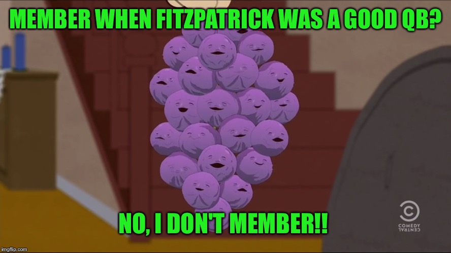 Member Berries Meme | MEMBER WHEN FITZPATRICK WAS A GOOD QB? NO, I DON'T MEMBER!! | image tagged in memes,member berries | made w/ Imgflip meme maker
