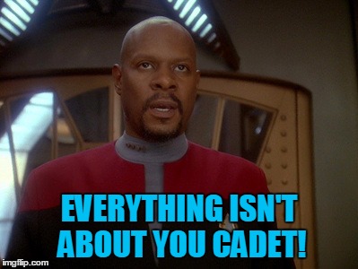 Captain Siski Frustrated | EVERYTHING ISN'T ABOUT YOU CADET! | image tagged in captain siski frustrated | made w/ Imgflip meme maker