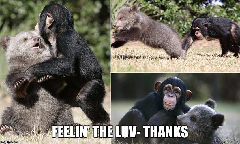 chimp & bear | FEELIN' THE LUV- THANKS | image tagged in chimp  bear | made w/ Imgflip meme maker