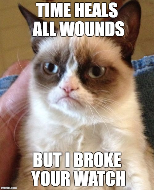 Next time, maybe you'll snap your neck instead. | TIME HEALS ALL WOUNDS; BUT I BROKE YOUR WATCH | image tagged in memes,grumpy cat,watch,time | made w/ Imgflip meme maker