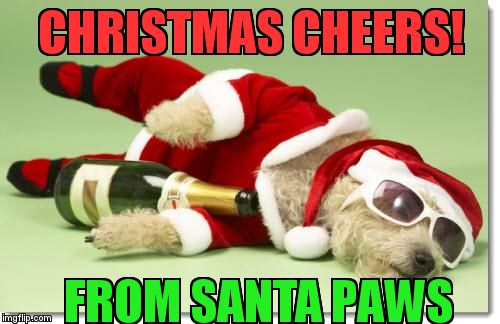christmas drunk dog | CHRISTMAS CHEERS! FROM SANTA PAWS | image tagged in christmas drunk dog | made w/ Imgflip meme maker