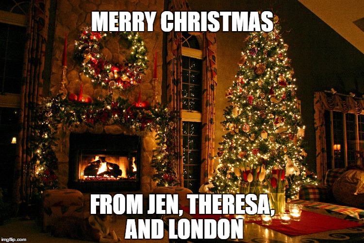 MERRY CHRISTMAS; FROM JEN, THERESA, AND LONDON | image tagged in memes | made w/ Imgflip meme maker