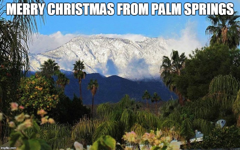 MERRY CHRISTMAS FROM PALM SPRINGS | image tagged in palm springs,california,winter | made w/ Imgflip meme maker
