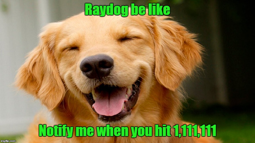 smiling dog | Raydog be like Notify me when you hit 1,111,111 | image tagged in smiling dog | made w/ Imgflip meme maker