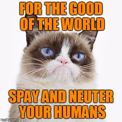 FOR THE GOOD OF THE WORLD SPAY AND NEUTER YOUR HUMANS | made w/ Imgflip meme maker