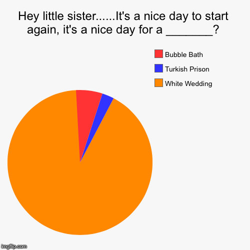 image tagged in funny,pie charts,evilmandoevil,memes | made w/ Imgflip chart maker