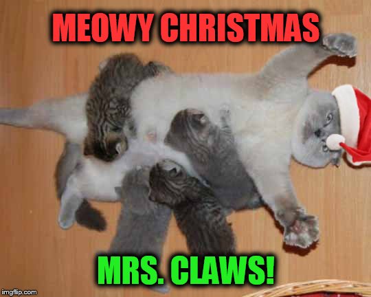 Thank the Mrs. Claus in your life! They truly do give all! | MEOWY CHRISTMAS; MRS. CLAWS! | image tagged in cats,merry christmas,love,moms,kittens,funny cat memes | made w/ Imgflip meme maker