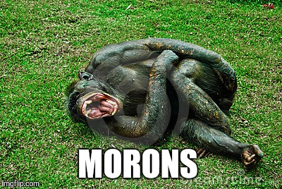 MORONS | made w/ Imgflip meme maker