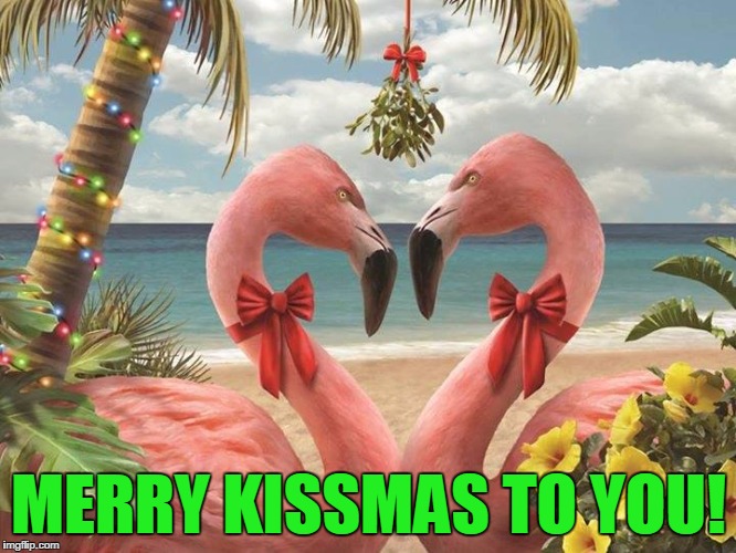 kiss me | MERRY KISSMAS TO YOU! | image tagged in kiss me | made w/ Imgflip meme maker