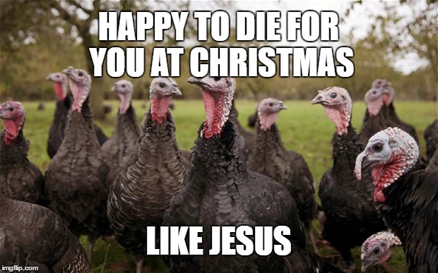 Lidl turkeys | HAPPY TO DIE FOR YOU AT CHRISTMAS; LIKE JESUS | image tagged in lidl,turkeys,christmas | made w/ Imgflip meme maker