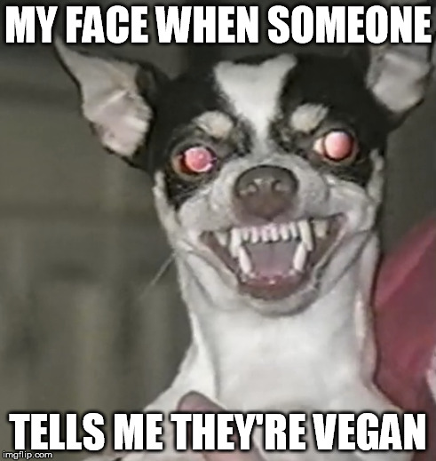 My face when someone tells me they're vegan | MY FACE WHEN SOMEONE; TELLS ME THEY'RE VEGAN | image tagged in vegan,veganism,vegans,vegan logic,go vegan,my face when | made w/ Imgflip meme maker