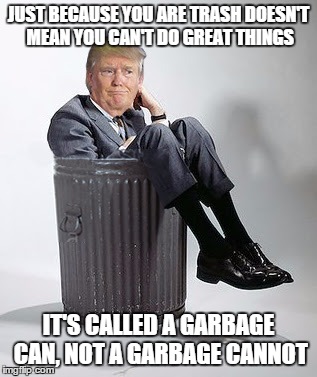 All Heil King Drumpf | JUST BECAUSE YOU ARE TRASH DOESN'T MEAN YOU CAN'T DO GREAT THINGS; IT'S CALLED A GARBAGE CAN, NOT A GARBAGE CANNOT | image tagged in donald trump,trash | made w/ Imgflip meme maker