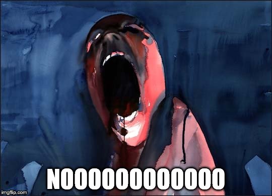 Pink Floyd Scream | NOOOOOOOOOOOO | image tagged in pink floyd scream | made w/ Imgflip meme maker