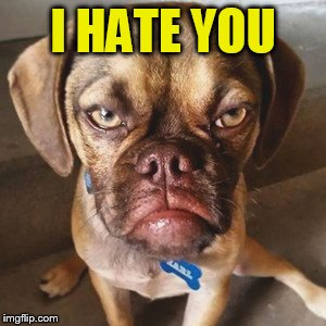 I HATE YOU | made w/ Imgflip meme maker