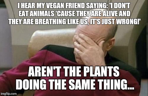Captain Picard Facepalm Meme | I HEAR MY VEGAN FRIEND SAYING: 'I DON'T EAT ANIMALS 'CAUSE THEY ARE ALIVE AND THEY ARE BREATHING LIKE US, IT'S JUST WRONG!'; AREN'T THE PLANTS DOING THE SAME THING... | image tagged in memes,captain picard facepalm | made w/ Imgflip meme maker