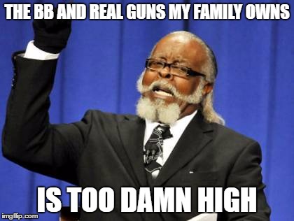 Its true... | THE BB AND REAL GUNS MY FAMILY OWNS; IS TOO DAMN HIGH | image tagged in memes,too damn high,guns,bb guns,family | made w/ Imgflip meme maker