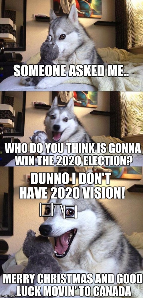 Bad Pun Dog |  SOMEONE ASKED ME.. WHO DO YOU THINK IS GONNA WIN THE 2020 ELECTION? _; _; _; DUNNO I DON'T HAVE 2020 VISION! |_|; |_|; /   \; MERRY CHRISTMAS AND GOOD LUCK MOVIN' TO CANADA | image tagged in memes,bad pun dog | made w/ Imgflip meme maker