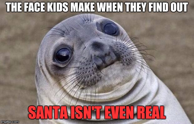 Awkward Moment Sealion Meme | THE FACE KIDS MAKE WHEN THEY FIND OUT; SANTA ISN'T EVEN REAL | image tagged in memes,awkward moment sealion | made w/ Imgflip meme maker