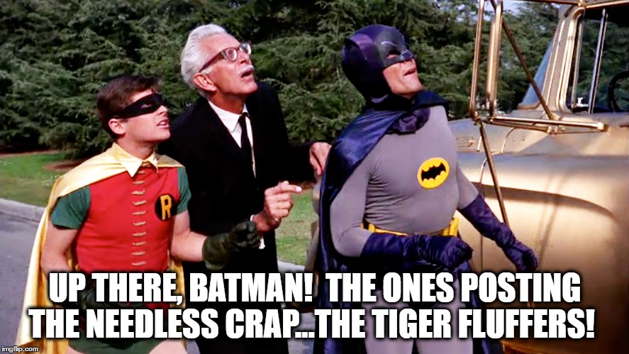Batman Tiger Fluffer Fighting | UP THERE, BATMAN!  THE ONES POSTING THE NEEDLESS CRAP...THE TIGER FLUFFERS! | image tagged in batman,robin,golf,tiger woods,pga tour,pga | made w/ Imgflip meme maker