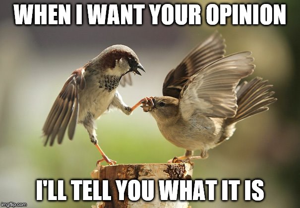 WHEN I WANT YOUR OPINION; I'LL TELL YOU WHAT IT IS | image tagged in opinion | made w/ Imgflip meme maker