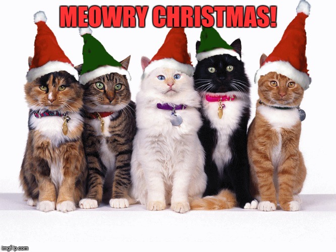 MEOWRY CHRISTMAS! | made w/ Imgflip meme maker