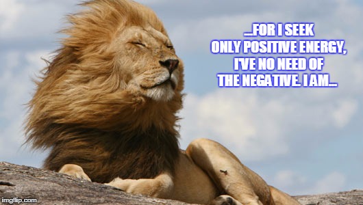 ONLY PREDITOR OF THE ZODIAC | ...FOR I SEEK ONLY POSITIVE ENERGY, I'VE NO NEED OF THE NEGATIVE. I AM... | image tagged in lion | made w/ Imgflip meme maker