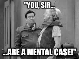 "YOU, SIR... ...ARE A MENTAL CASE!" | made w/ Imgflip meme maker
