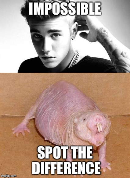 Spot the difference | IMPOSSIBLE; SPOT THE DIFFERENCE | image tagged in justin bieber | made w/ Imgflip meme maker