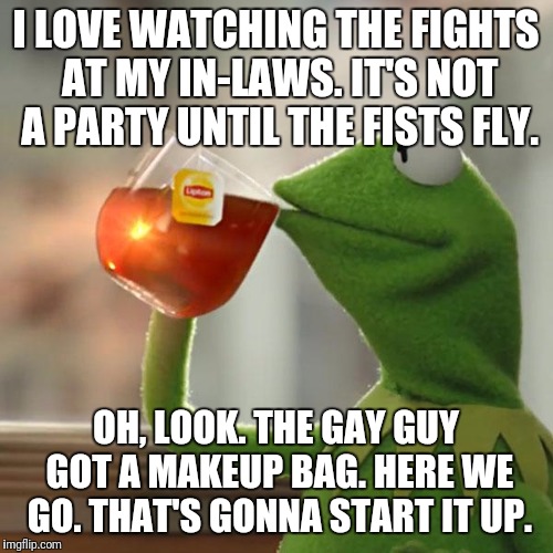 But That's None Of My Business | I LOVE WATCHING THE FIGHTS AT MY IN-LAWS. IT'S NOT A PARTY UNTIL THE FISTS FLY. OH, LOOK. THE GAY GUY GOT A MAKEUP BAG. HERE WE GO. THAT'S GONNA START IT UP. | image tagged in memes,but thats none of my business,kermit the frog | made w/ Imgflip meme maker