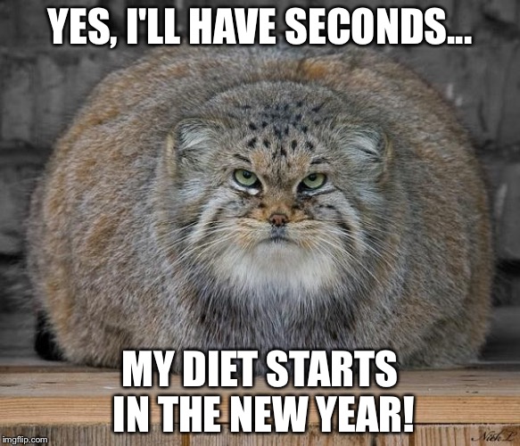 Fat Cats Exercise | YES, I'LL HAVE SECONDS... MY DIET STARTS IN THE NEW YEAR! | image tagged in fat cats exercise | made w/ Imgflip meme maker