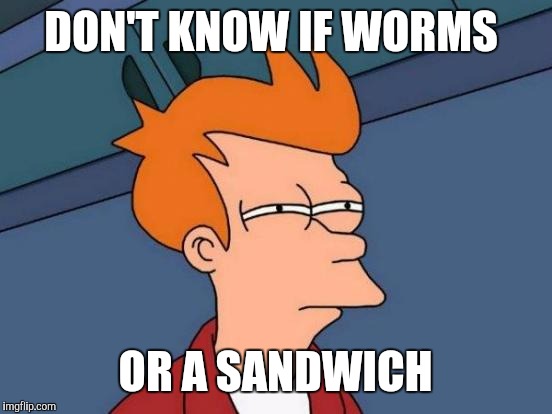 Futurama Fry Meme | DON'T KNOW IF WORMS OR A SANDWICH | image tagged in memes,futurama fry | made w/ Imgflip meme maker